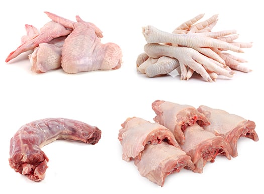 raw-poultry-bone-wing-feet-neck-back-v2