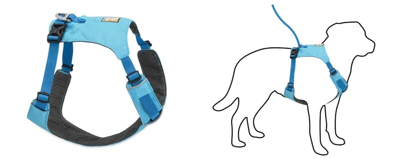 How I Stopped My Dog From Pulling on the Leash - Puppy Leaks