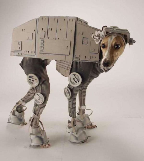 20 Funny, Creative, & Outrageous Pet Costumes
