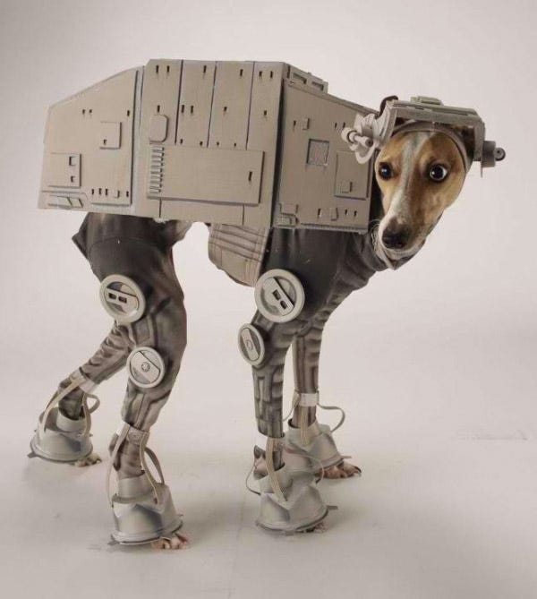 weird pet costumes