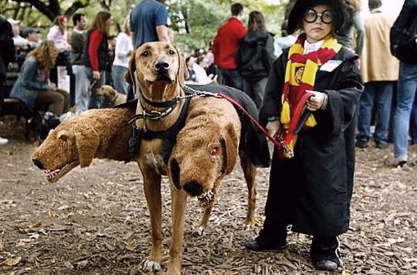 funny pet costumes