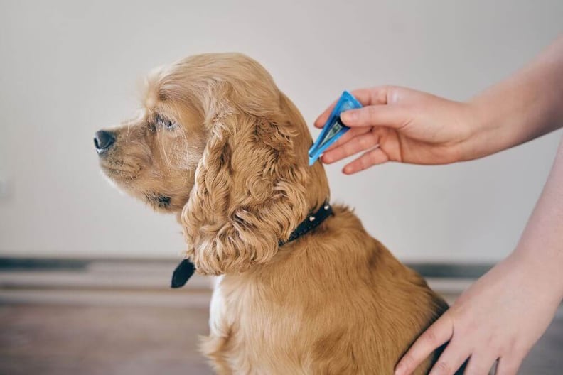 tick-prevention-treatment