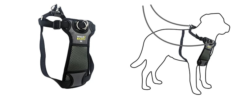 walk-right-two-touch-harness