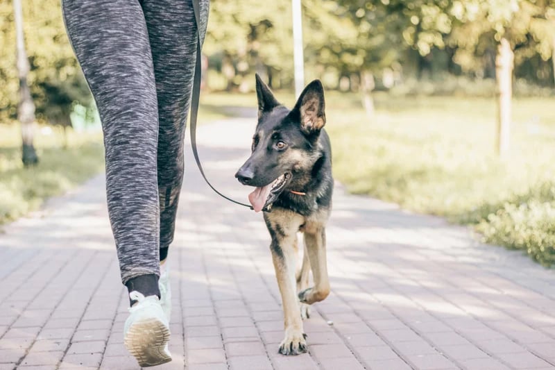 woman-leash-dog