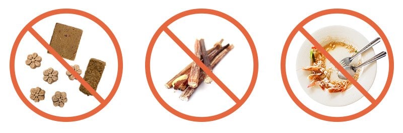 food sensitivity for dogs