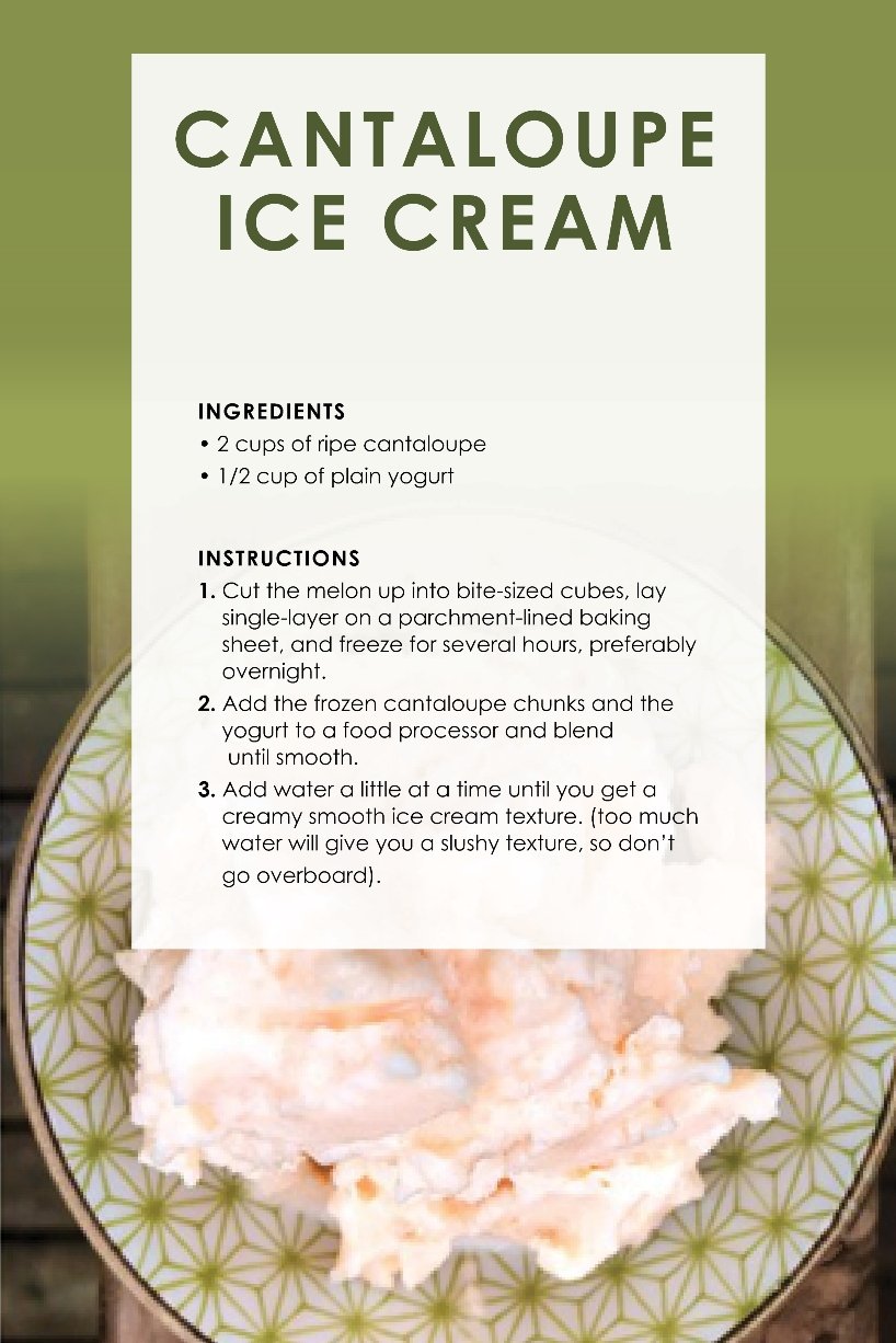 frozen pet treats