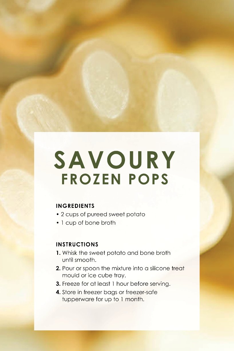 frozen puppy treats