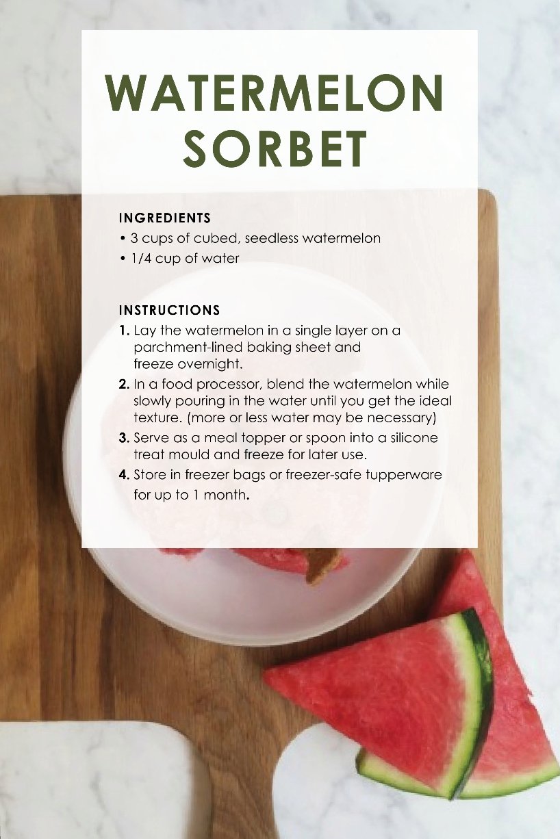 frozen puppy treat recipes