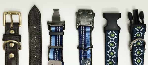 dog collar buckle types
