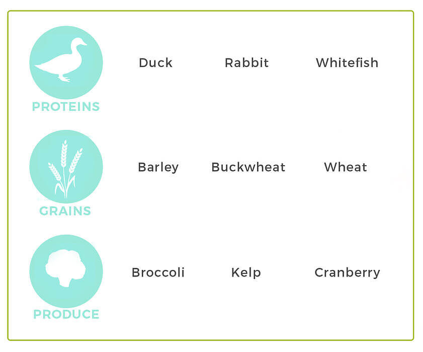 neutral proteins for dogs