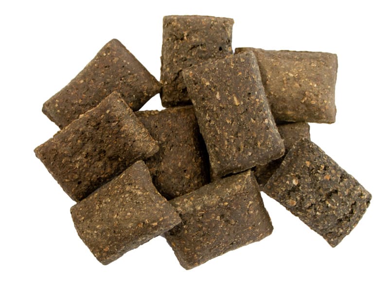 Caring for Your Dog's Teeth 2023 Dog Dental Care Guide