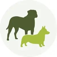 dog-breed-variety