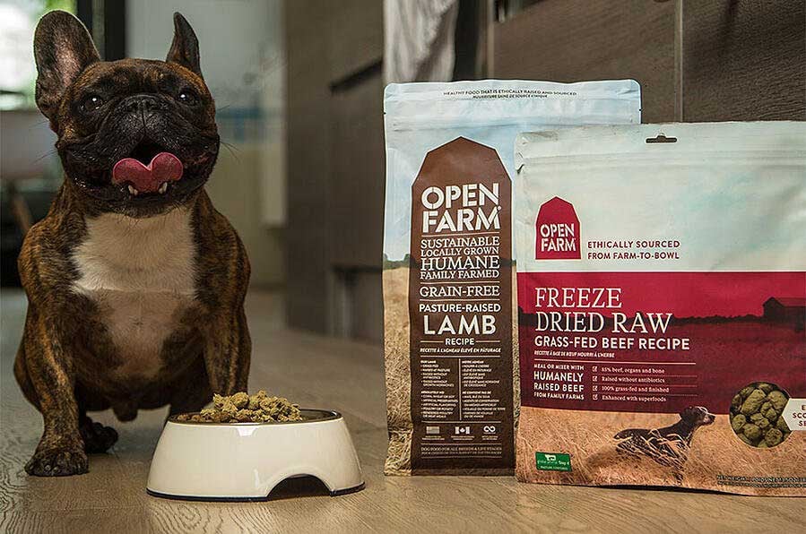 dog with open farm food