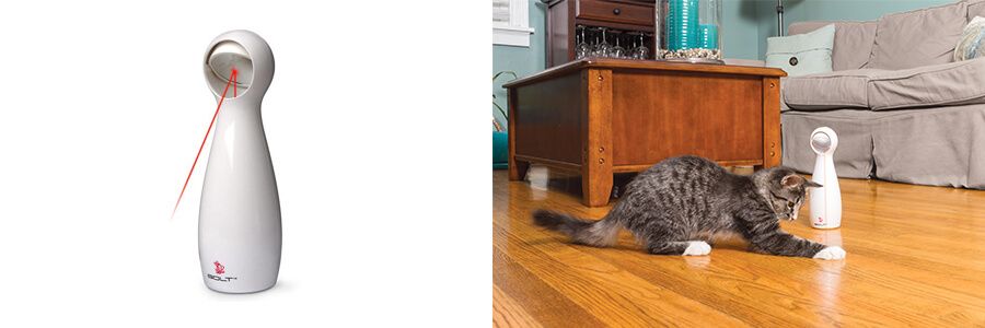 essential cat toys