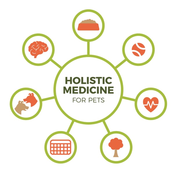 What is holistic medicine for pets