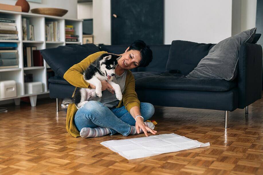 Puppy Potty Training 101: Tips for Teaching Good Bathroom Habits