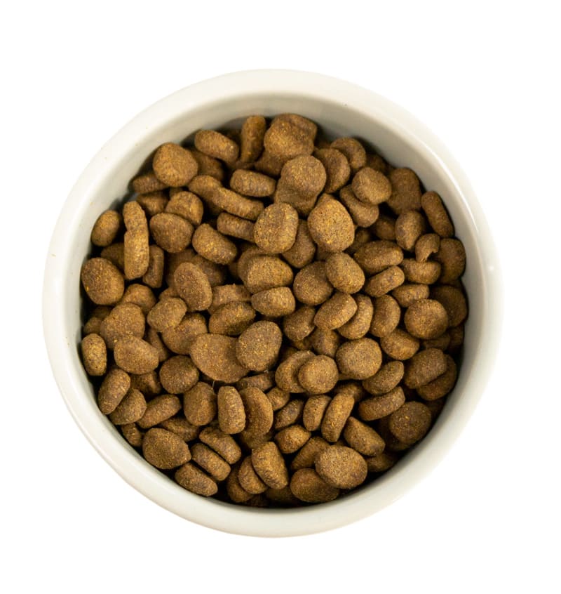 Types of Dog Food: A Helpful Breakdown