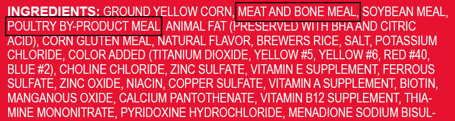 11 RED FLAG INGREDIENTS IN YOUR PET FOOD Paws on Chicon