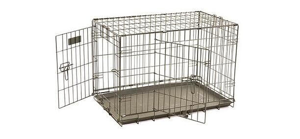 best method to crate train a puppy