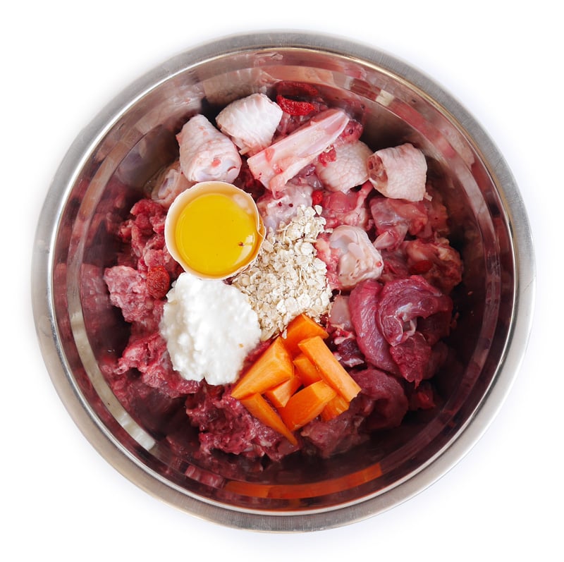 Dog Food for Senior Dogs A Guide For Your Dog’s Golden Years