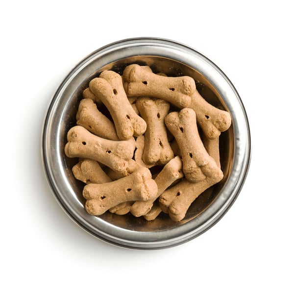 good dog treats for puppies