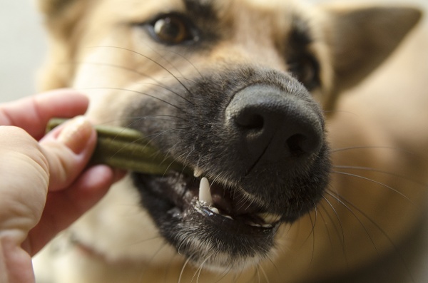 hypoallergenic dental sticks for dogs