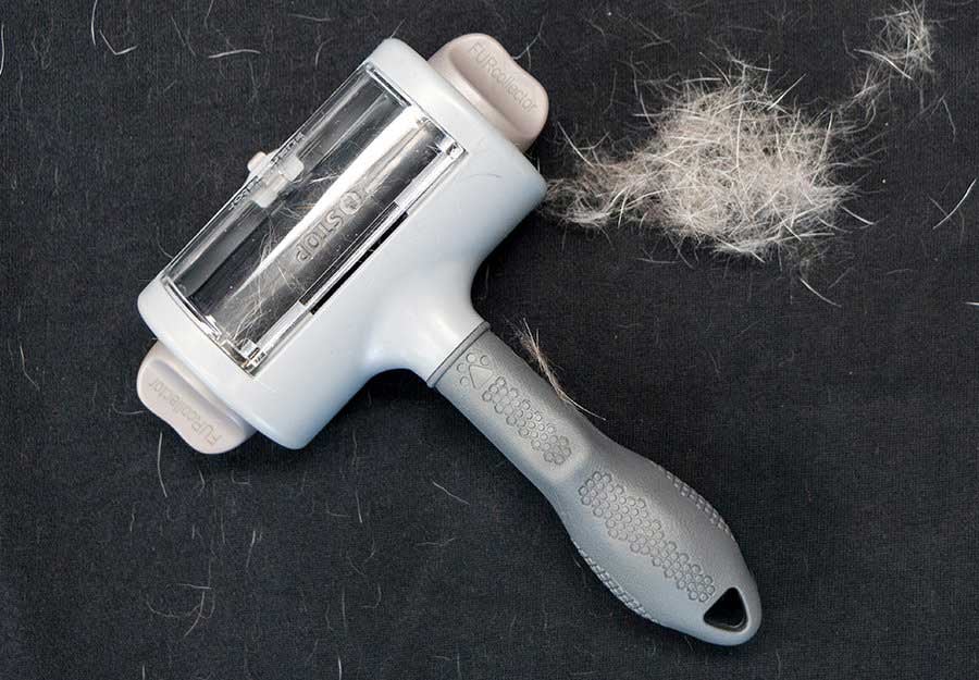 top-pet-hair-removal-tools-article-feature
