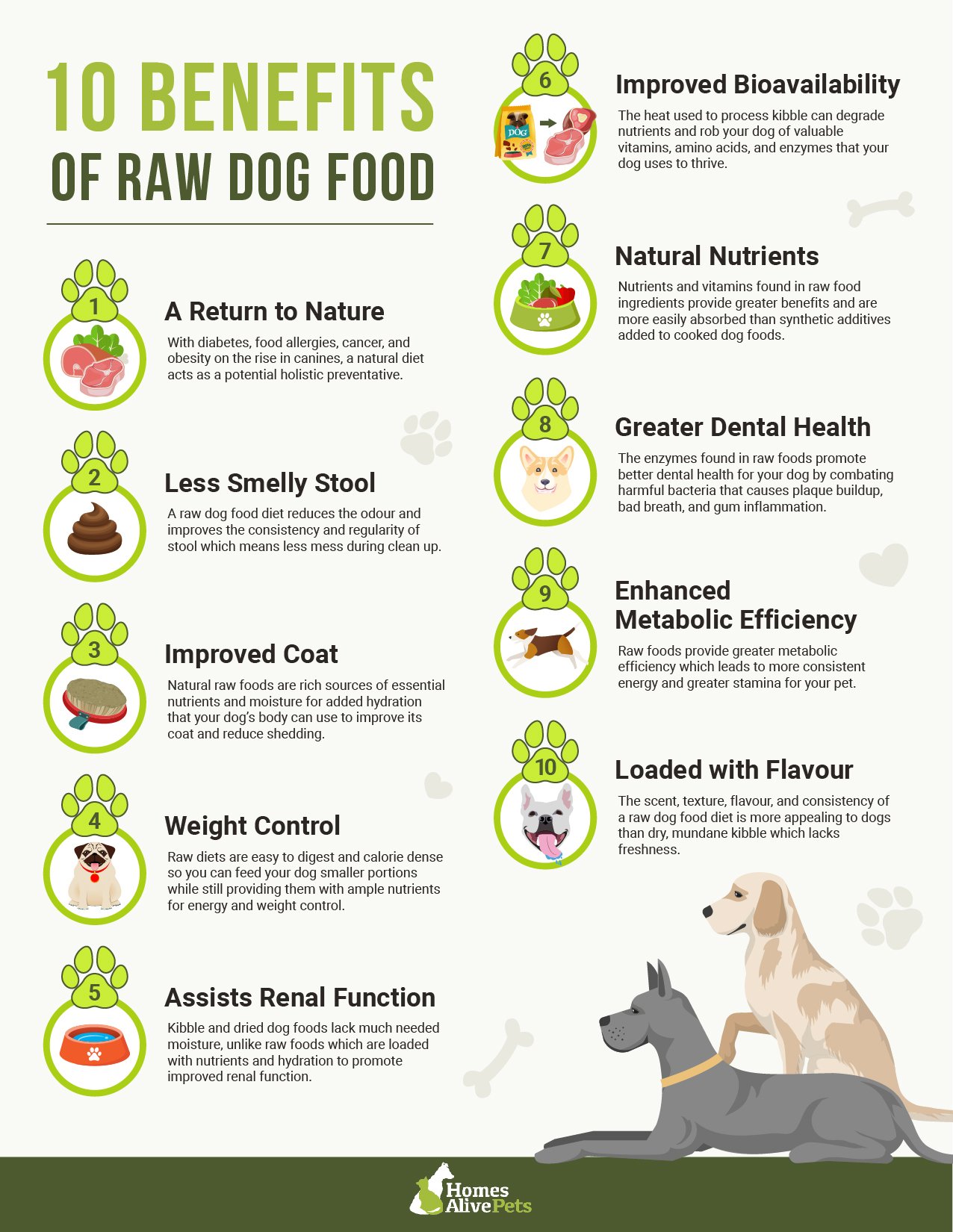 how long does raw dog food take to digest