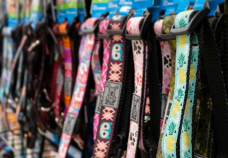 how do i choose a dog collar