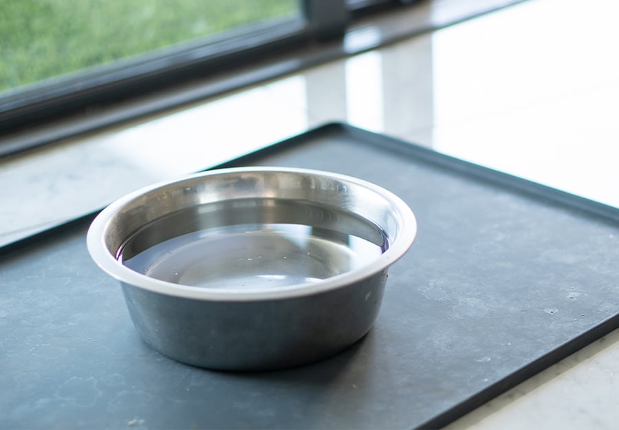 Dog-water-bowl-article-feature