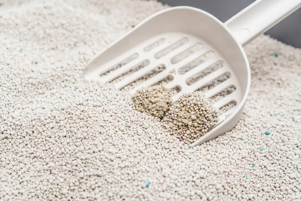 clumping-cat-litter
