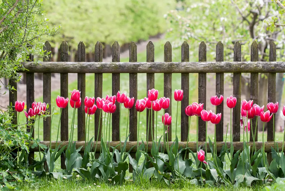 fenced-flower-garden