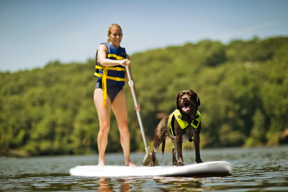 dog-paddleboarding