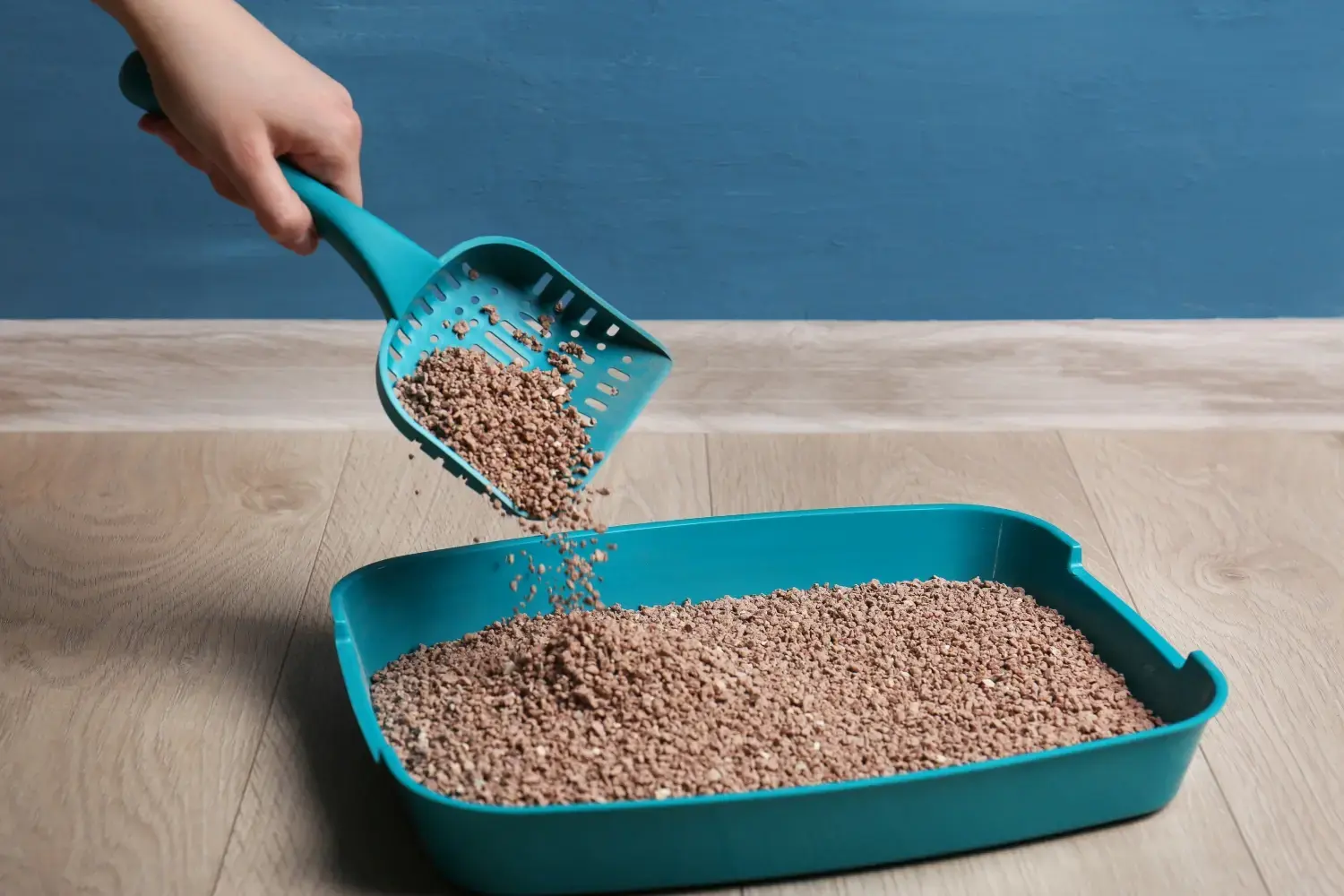 best-dust-free-cat-litter