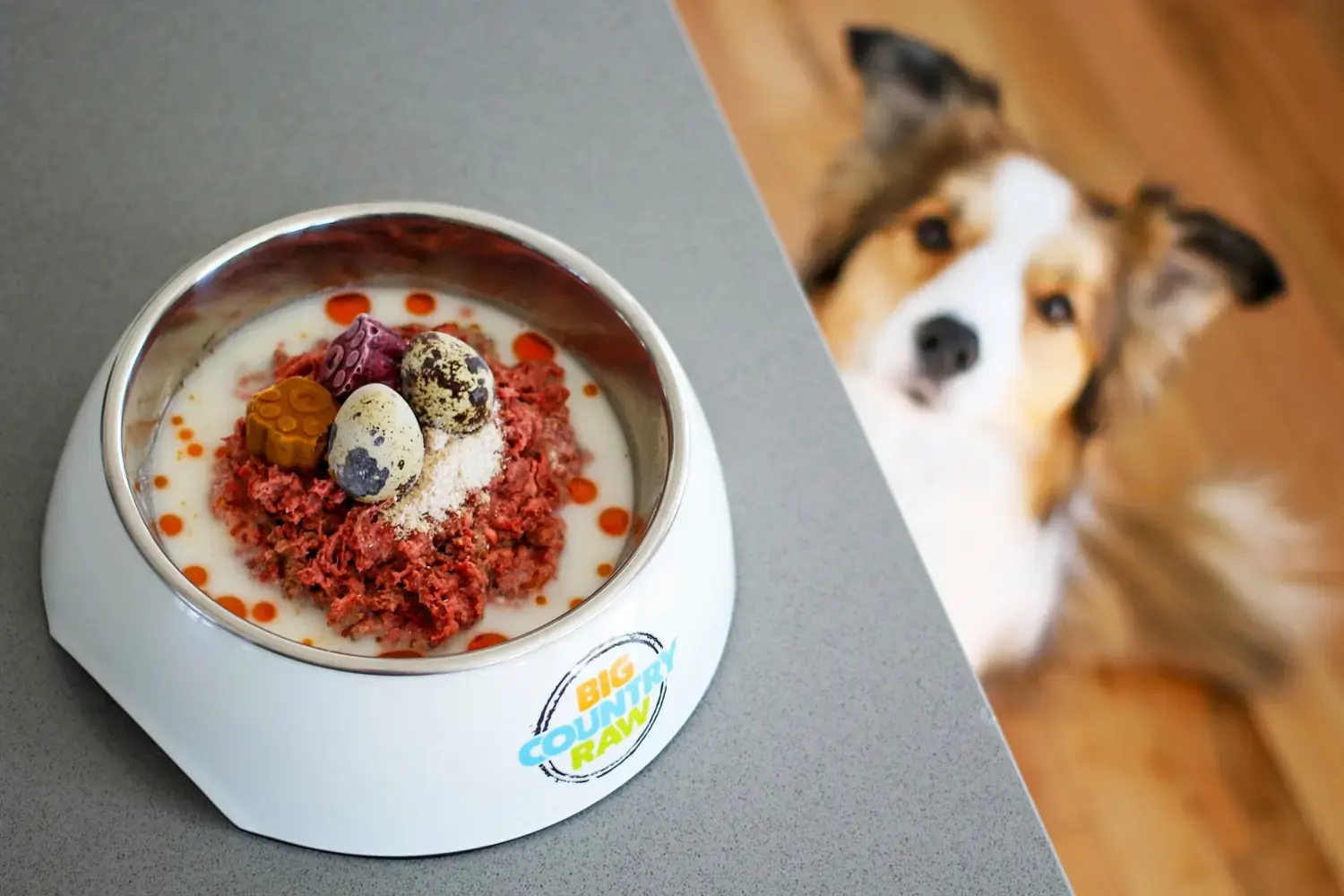 Best-raw-dog-food-feature