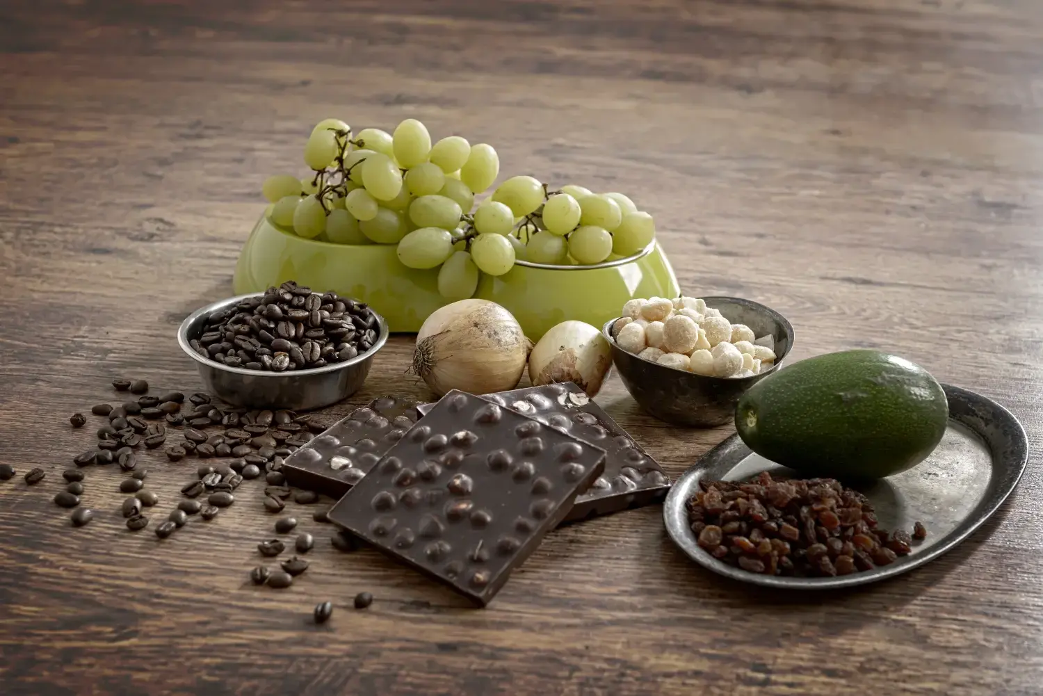 dangerous-human-foods-for-dogs-feature