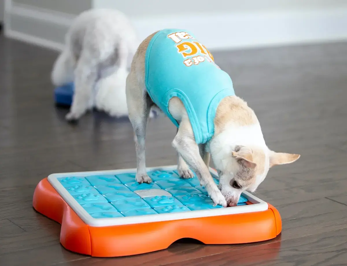 best-dog-puzzle-toys