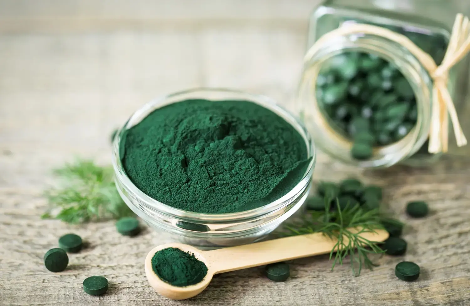 spirulina for dogs