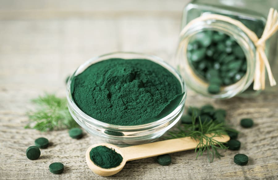 Spirulina and Chlorella for Dogs: Tips for Supporting Senior Dogs