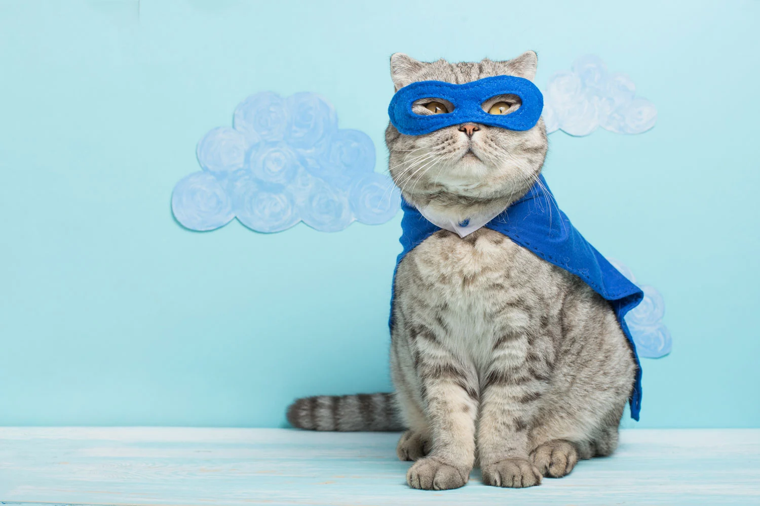 15 Adorable Halloween Costume Ideas for Dogs & Cats