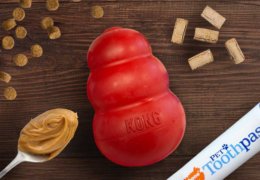 6 Stuffed KONG Recipes: What to Stuff in a KONG Dog Toy