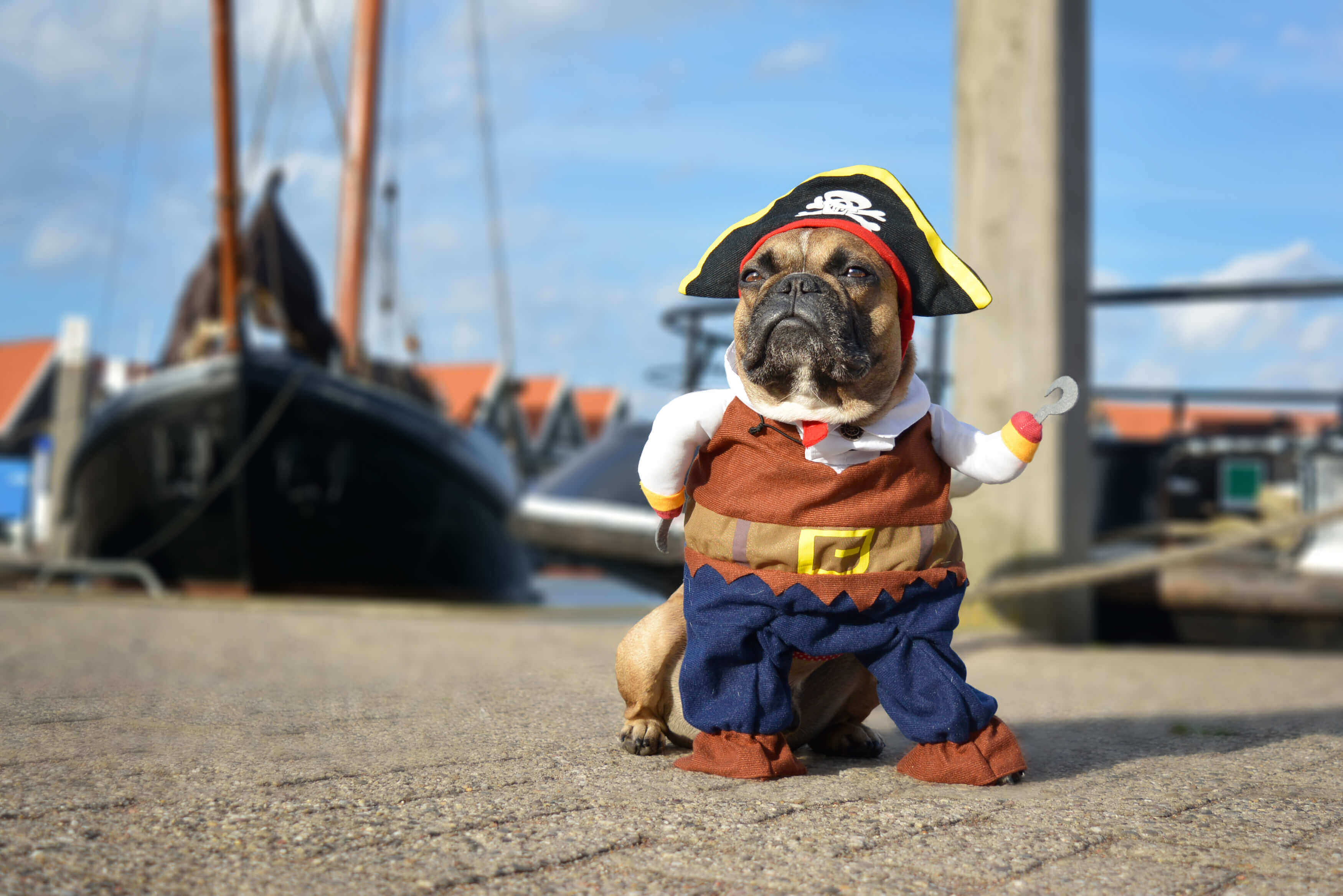 Football Pet Costume